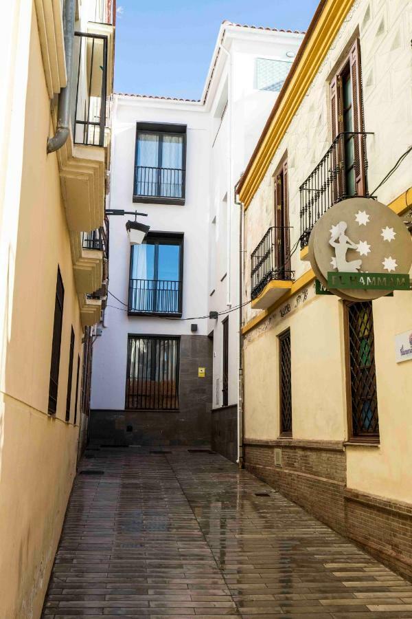 Céntrico Picasso Appartement *